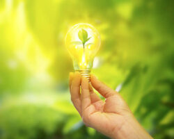 Ecogreen1
