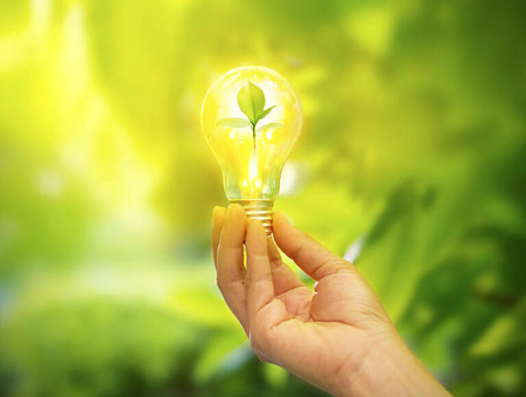 Ecogreen1